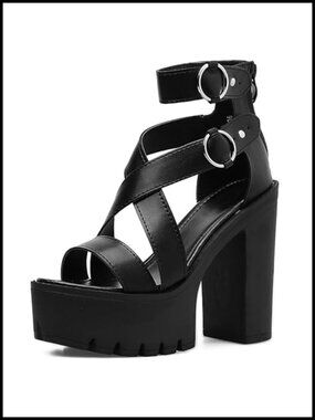 Chunky Heel Platform Gothic Sandals with Buckle Straps